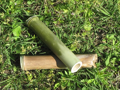Deux morceaux de bambou.