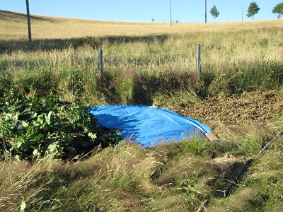 Trois essais de paillage du jardin.