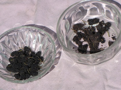 Deux récipients de mûres de mûrier noir.
