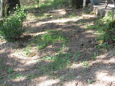 Jardin en pente.