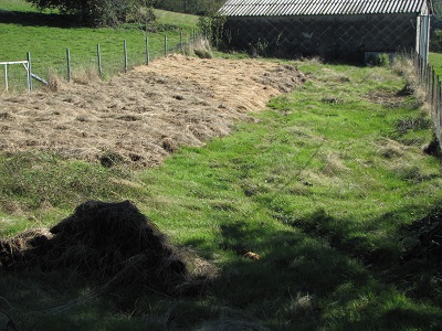 Jardin paillé à moitié.
