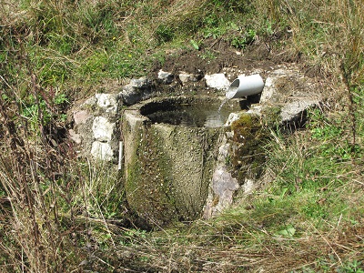 Petit bassin rond et source.
