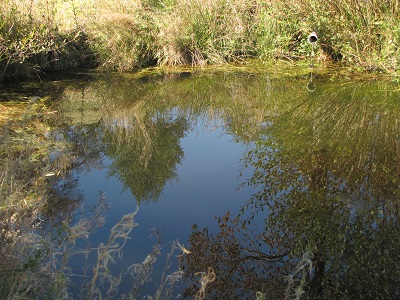 Bassin.
