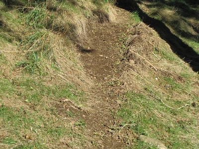 Sentier élargi.
