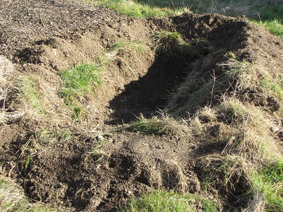 Trou allongé dans le jardin.