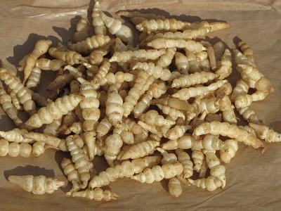 Crosnes.