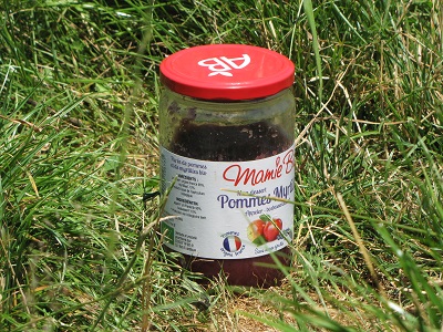 Bocal de purée pommes-myrtilles dans l'herbe.