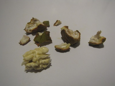 Noix décortiquée.