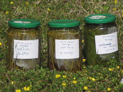 3 gros pots d'asperges sauvages.
