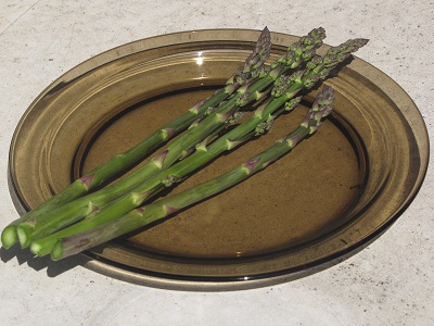 Asperges cultivées redevenues sauvages.
