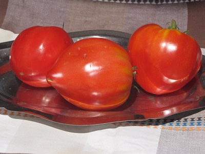 Tomates cœur de bœuf.