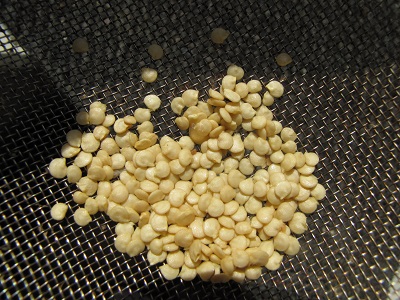 Graines de poivrons.