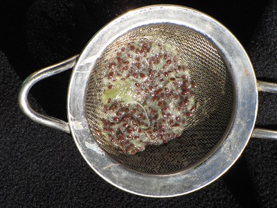 Graines de kiwi.