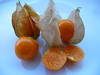 Fruits de coqueret du Pérou.