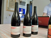 Bouteilles de vin.